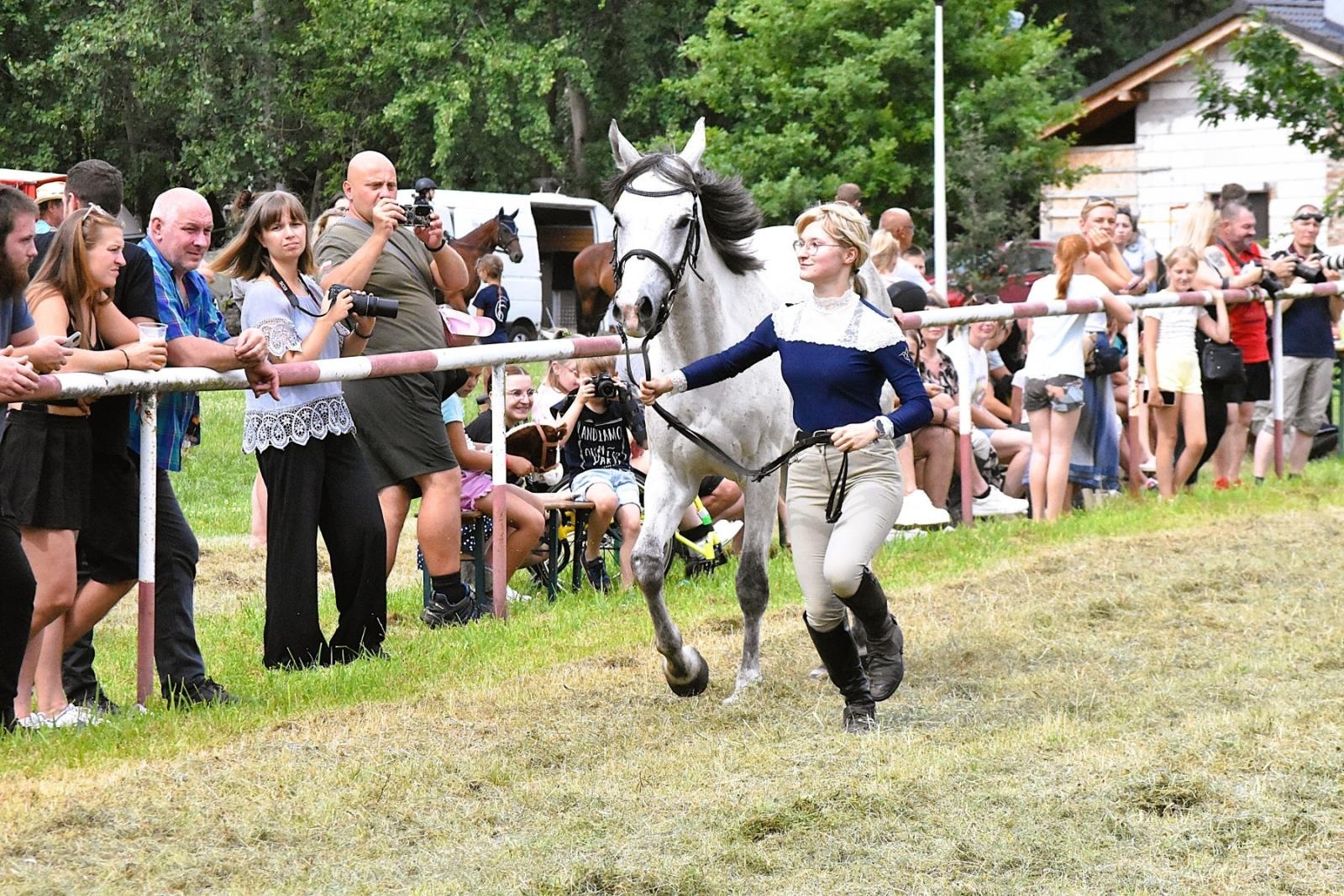 Zdjęcie w galerii na portalu naszwodzislaw.com: Lorens G. zwycięzcą Pokazu Koni Wszystkich Ras w Krostoszowicach wiadomości z regionu