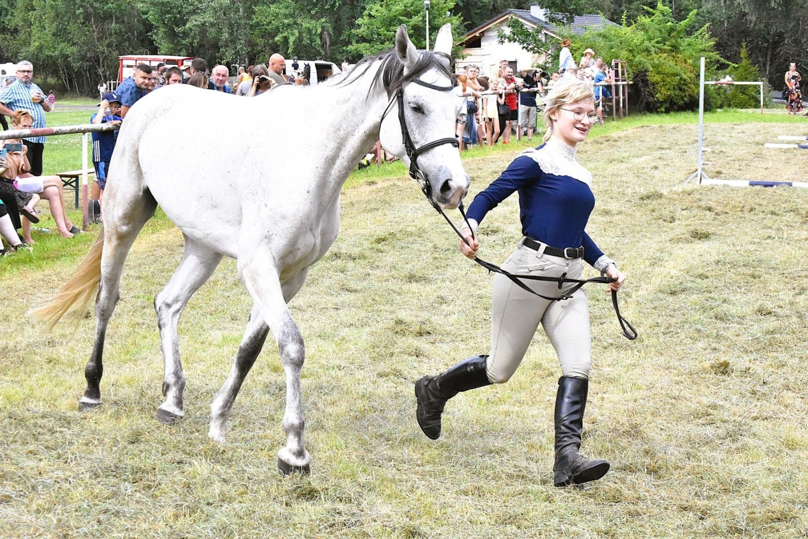 Zdjęcie w galerii na portalu naszwodzislaw.com: Lorens G. zwycięzcą Pokazu Koni Wszystkich Ras w Krostoszowicach wiadomości z regionu