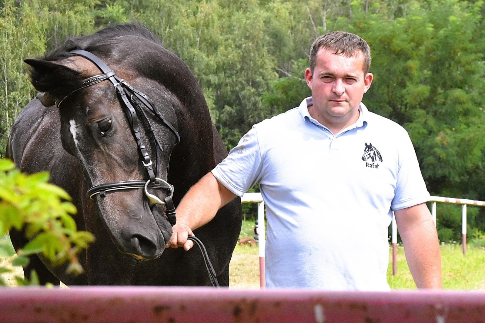 Zdjęcie w galerii na portalu naszwodzislaw.com: Lorens G. zwycięzcą Pokazu Koni Wszystkich Ras w Krostoszowicach wiadomości z regionu