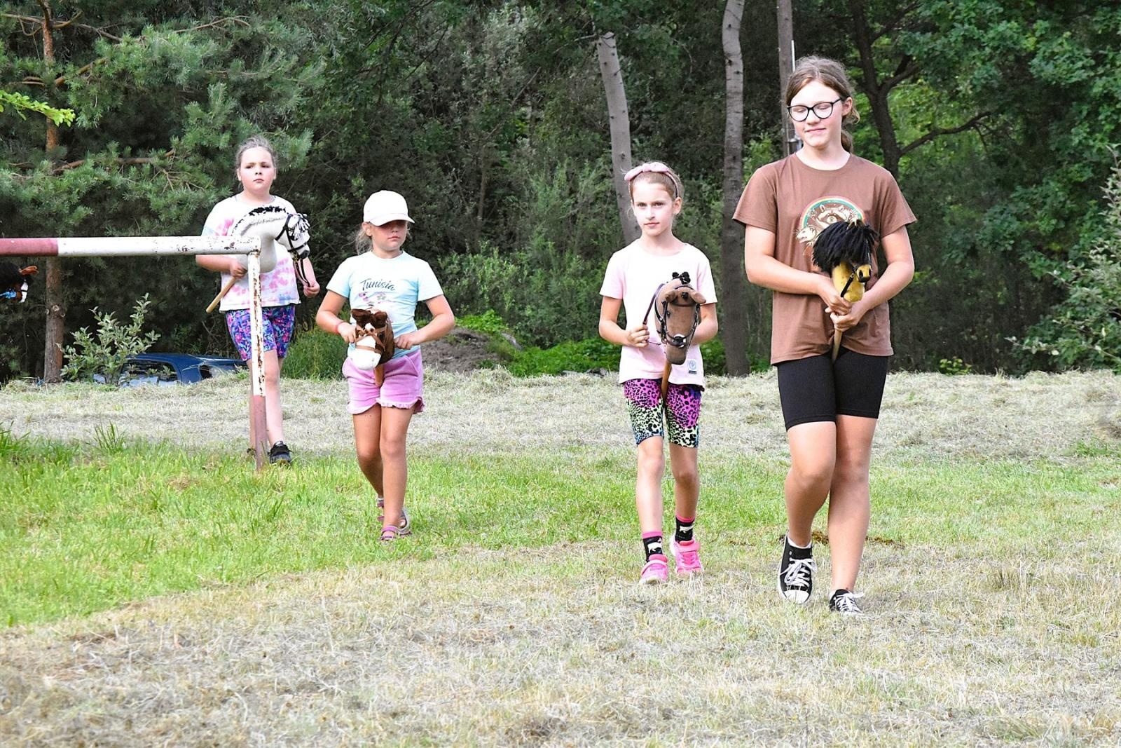 Zdjęcie w galerii na portalu naszwodzislaw.com: Lorens G. zwycięzcą Pokazu Koni Wszystkich Ras w Krostoszowicach wiadomości z regionu