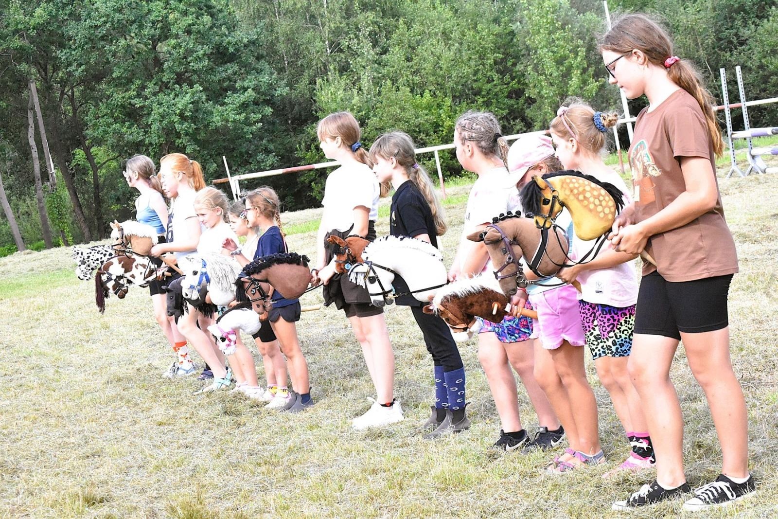 Zdjęcie w galerii na portalu naszwodzislaw.com: Lorens G. zwycięzcą Pokazu Koni Wszystkich Ras w Krostoszowicach wiadomości z regionu