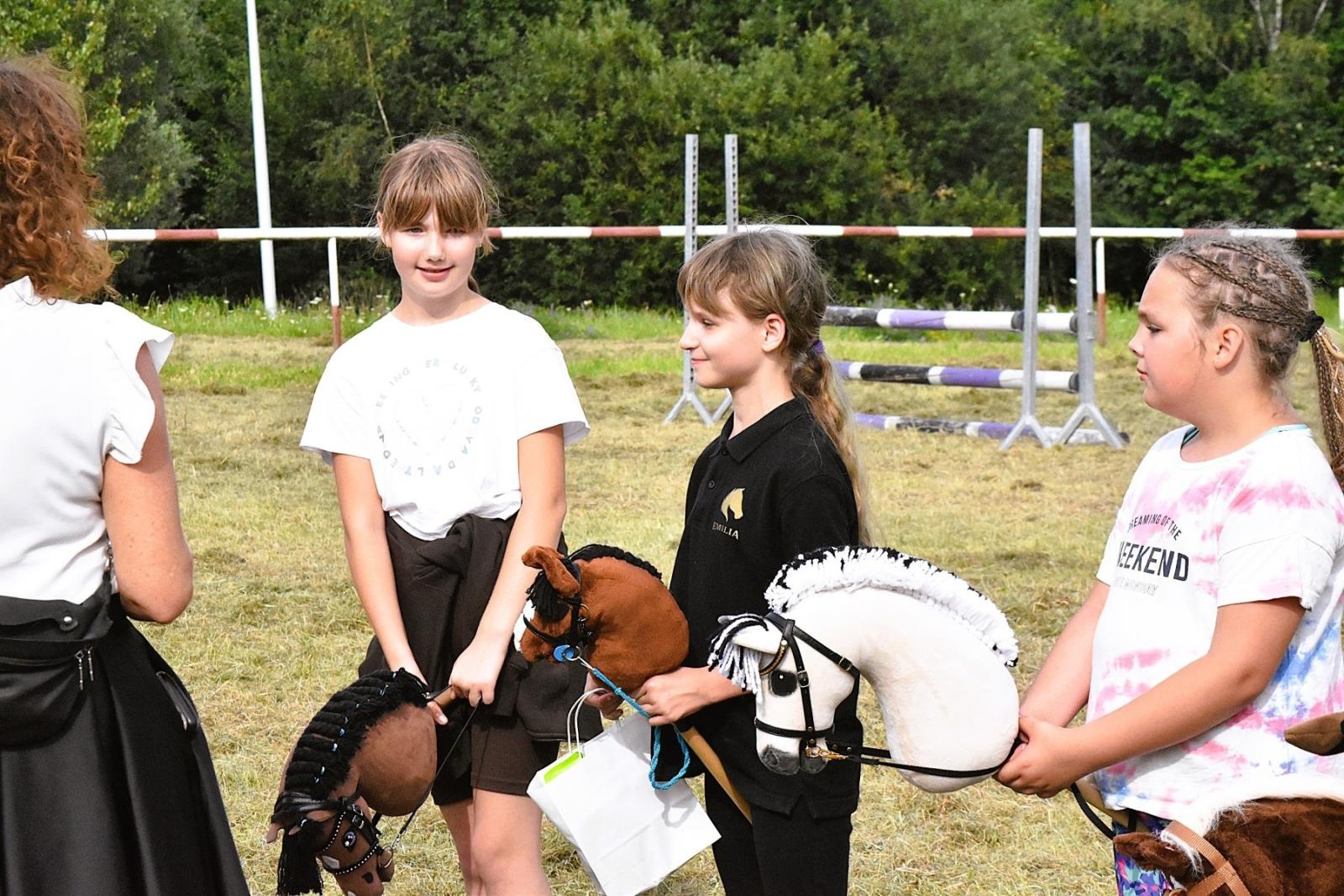 Zdjęcie w galerii na portalu naszwodzislaw.com: Lorens G. zwycięzcą Pokazu Koni Wszystkich Ras w Krostoszowicach wiadomości z regionu