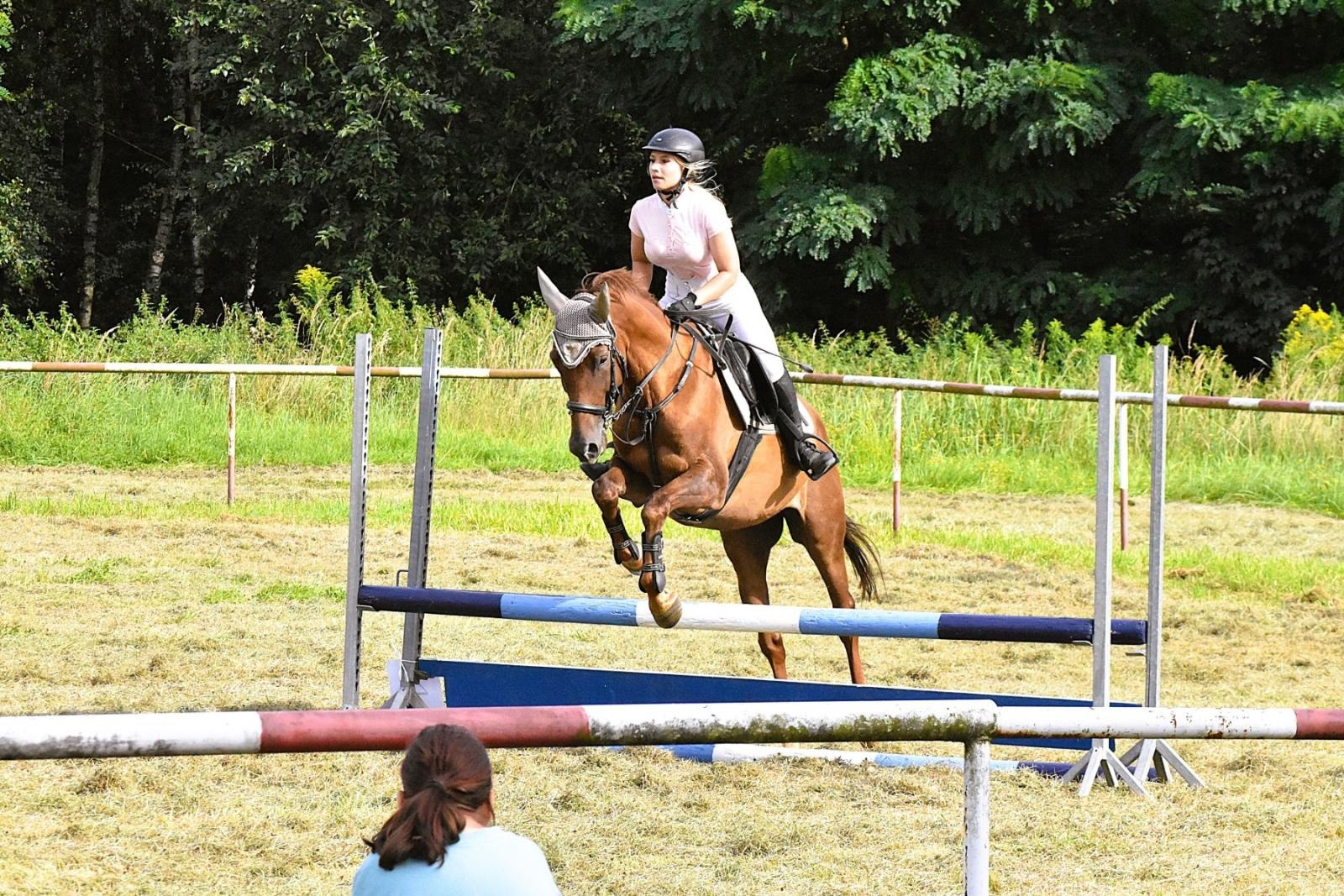 Zdjęcie w galerii na portalu naszwodzislaw.com: Lorens G. zwycięzcą Pokazu Koni Wszystkich Ras w Krostoszowicach wiadomości z regionu