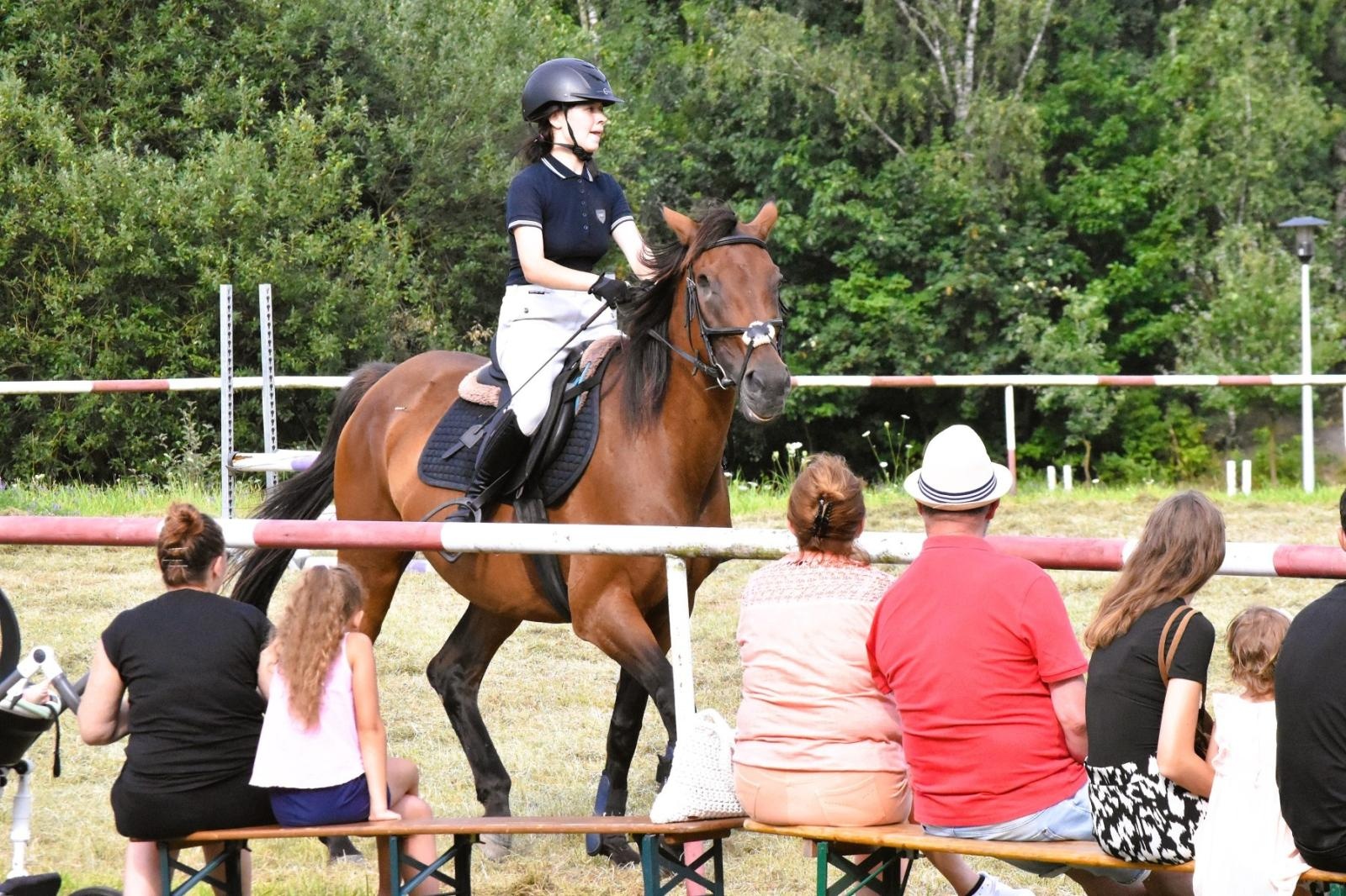Zdjęcie w galerii na portalu naszwodzislaw.com: Lorens G. zwycięzcą Pokazu Koni Wszystkich Ras w Krostoszowicach wiadomości z regionu