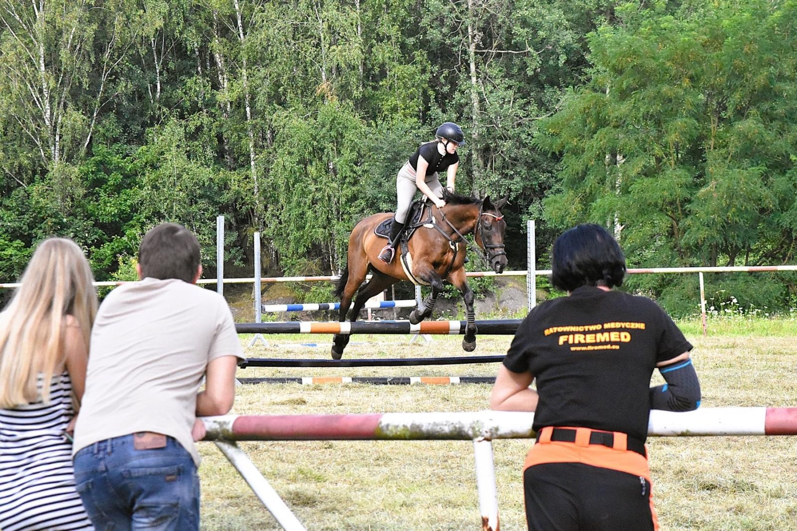 Zdjęcie w galerii na portalu naszwodzislaw.com: Lorens G. zwycięzcą Pokazu Koni Wszystkich Ras w Krostoszowicach wiadomości z regionu