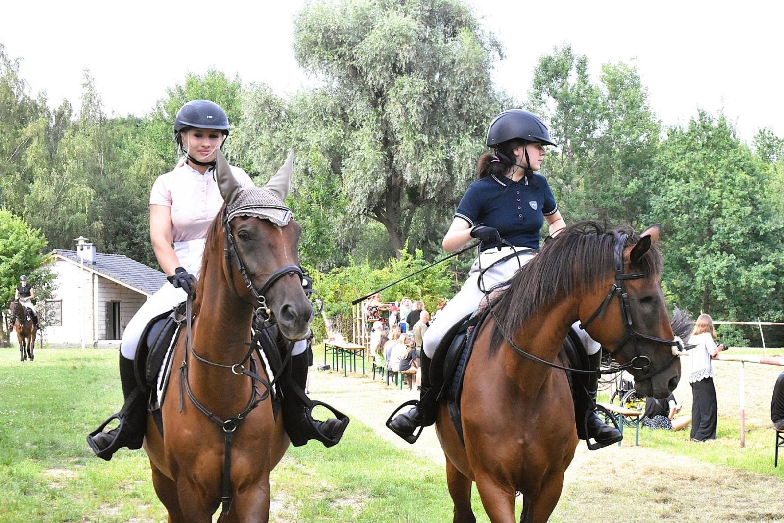 Zdjęcie w galerii na portalu naszwodzislaw.com: Lorens G. zwycięzcą Pokazu Koni Wszystkich Ras w Krostoszowicach wiadomości z regionu