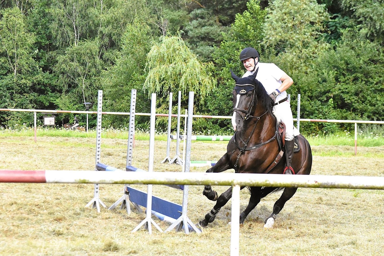 Zdjęcie w galerii na portalu naszwodzislaw.com: Lorens G. zwycięzcą Pokazu Koni Wszystkich Ras w Krostoszowicach wiadomości z regionu