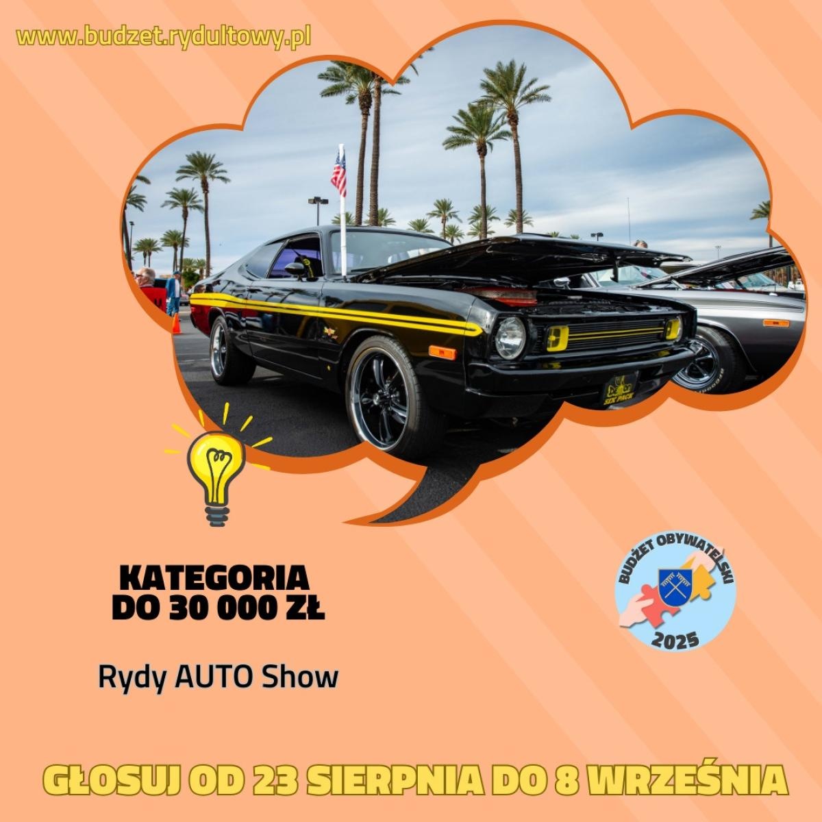 Zdjęcie w galerii na portalu naszwodzislaw.com: Budżet Obywatelski 2025 w Rydułtowach. Poznaj zgłoszone projekty wiadomości z regionu