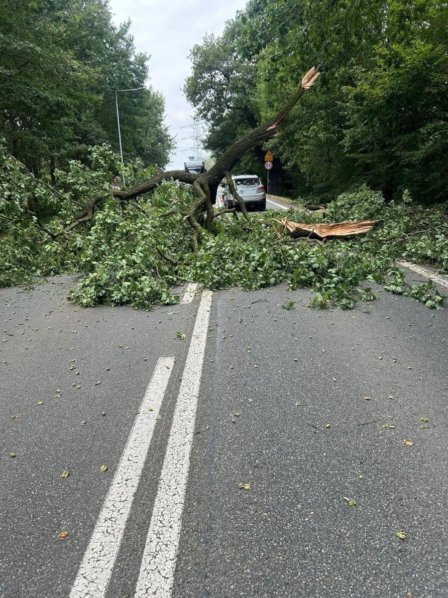 Zdjęcie w galerii na portalu naszwodzislaw.com: O włos od tragedii w Gorzycach [FOTO] wiadomości z regionu