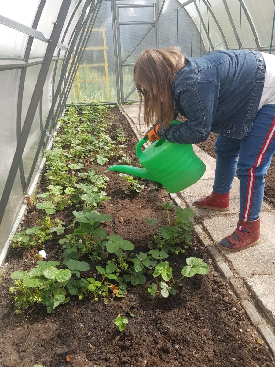 Zdjęcie w galerii na portalu naszwodzislaw.com: Rehabilitacja 25 plus. Rusza siódma edycja programu pilotażowego wiadomości z regionu