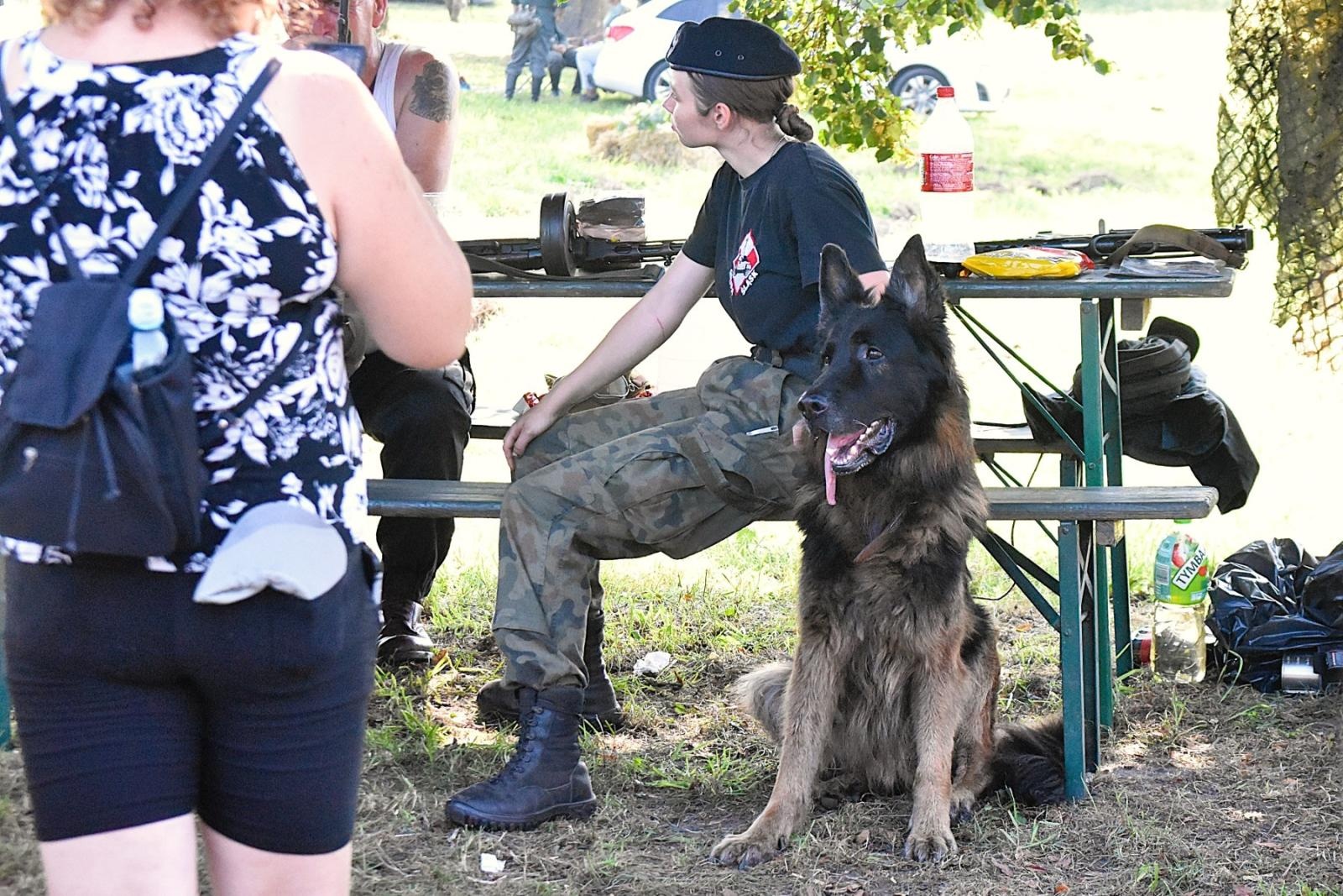 Zdjęcie w galerii na portalu naszwodzislaw.com: Tłumy na pierwszym plenerze filmowym z Franciszkiem Pieczką [FOTO] wiadomości z regionu