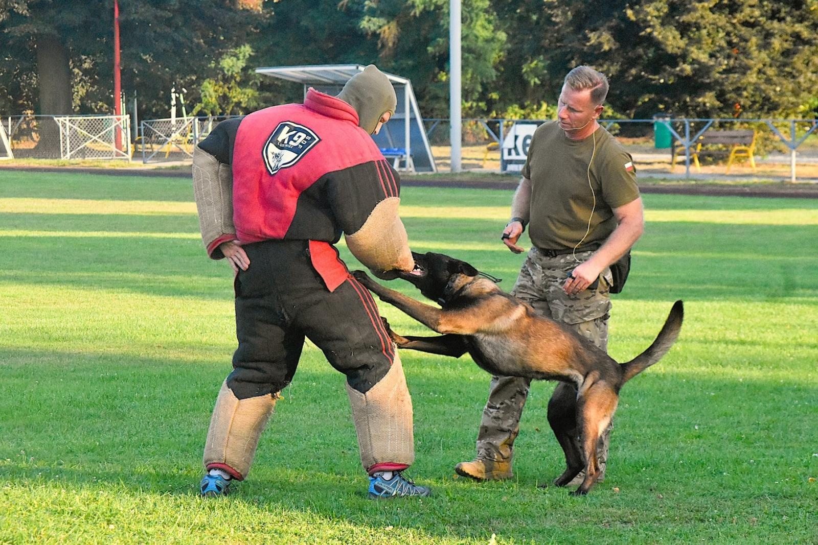 Zdjęcie w galerii na portalu naszwodzislaw.com: Tłumy na pierwszym plenerze filmowym z Franciszkiem Pieczką [FOTO] wiadomości z regionu