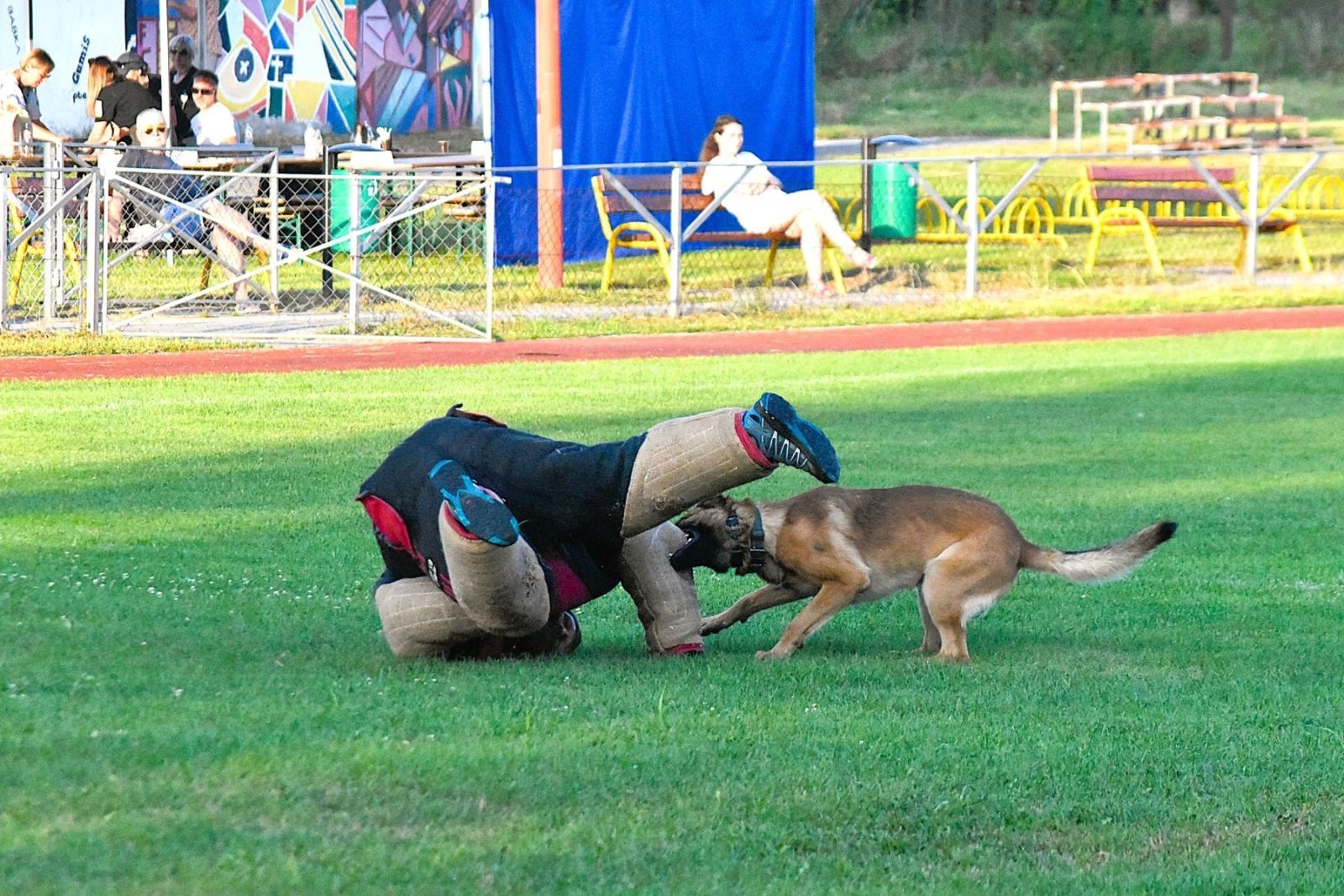 Zdjęcie w galerii na portalu naszwodzislaw.com: Tłumy na pierwszym plenerze filmowym z Franciszkiem Pieczką [FOTO] wiadomości z regionu