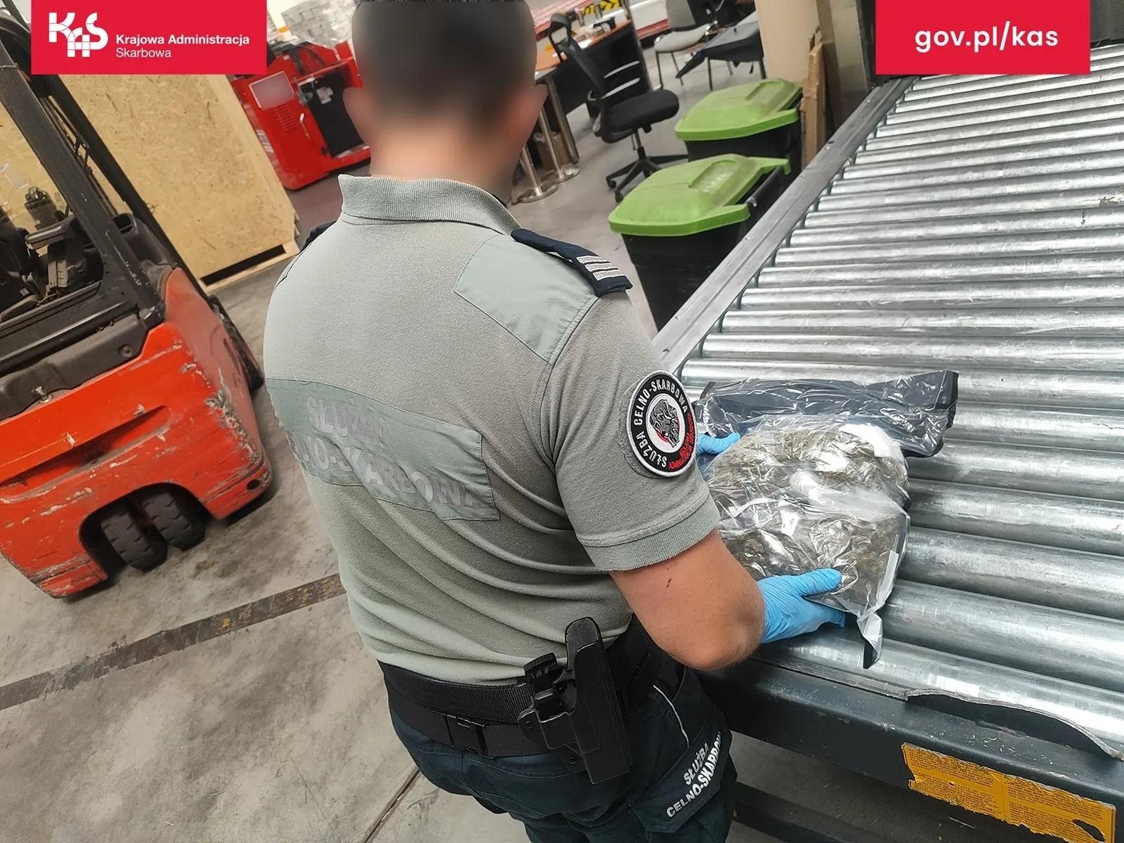 Zdjęcie w galerii na portalu naszwodzislaw.com: Służby w sortowni. Marihuana zamiast kamizelki rowerowej wiadomości z regionu