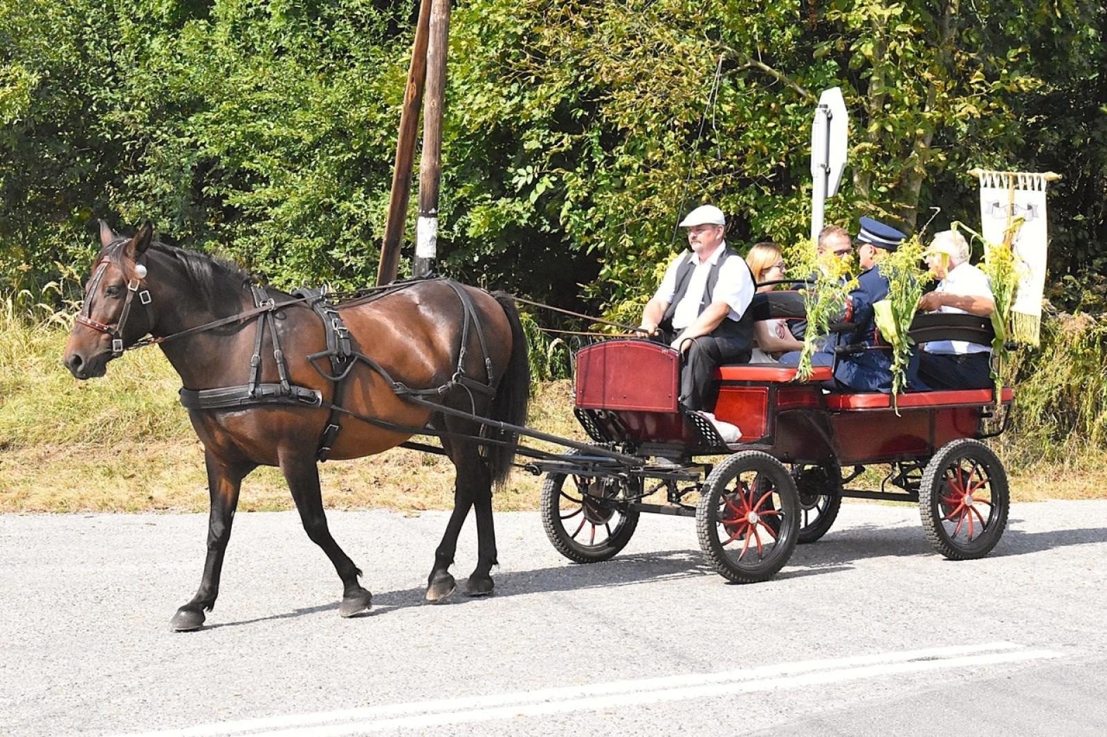Zdjęcie w galerii na portalu naszwodzislaw.com: Godów pięknie podziękował za tegoroczne plony wiadomości z regionu
