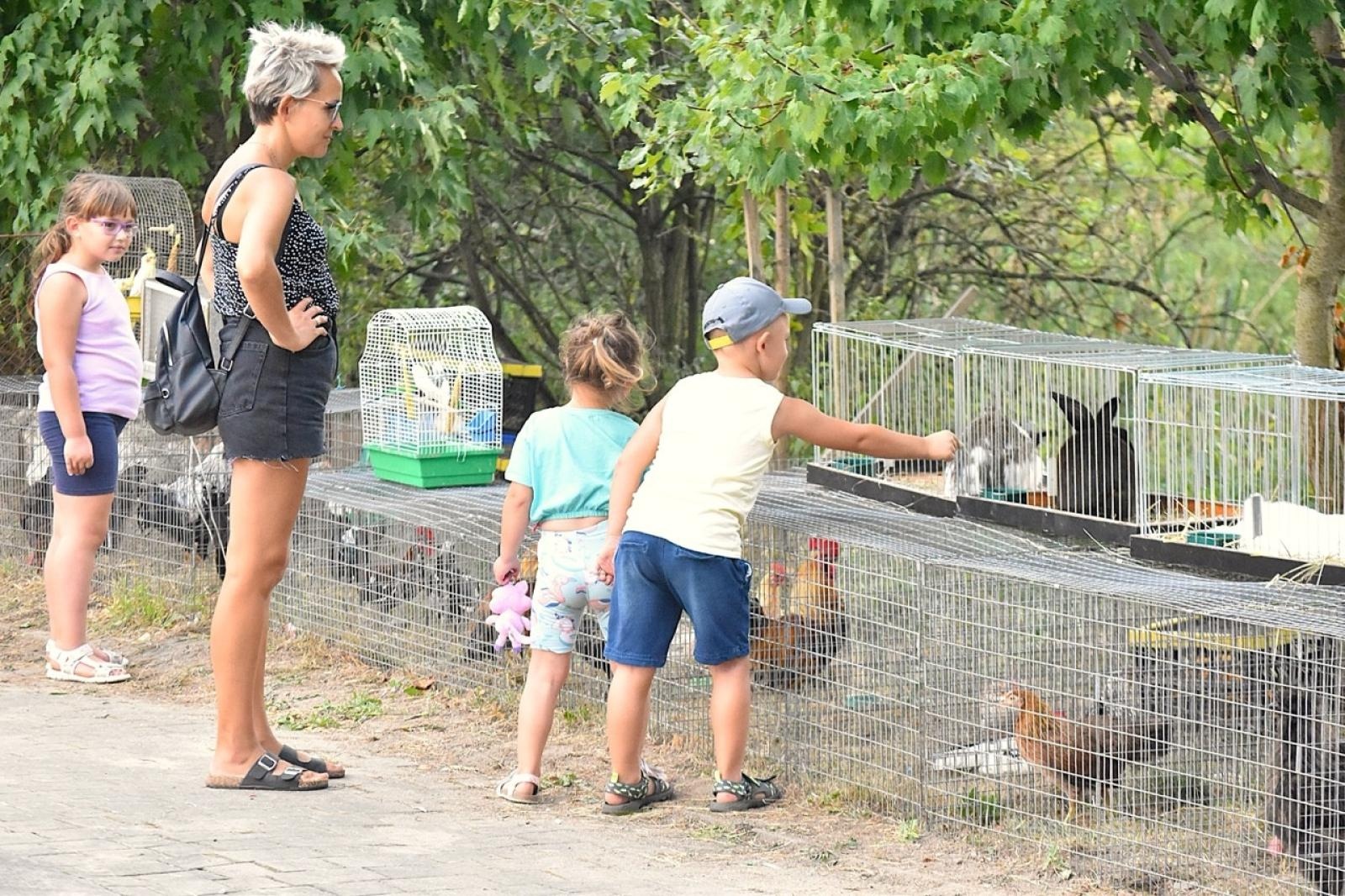 Zdjęcie w galerii na portalu naszwodzislaw.com: Godów pięknie podziękował za tegoroczne plony wiadomości z regionu