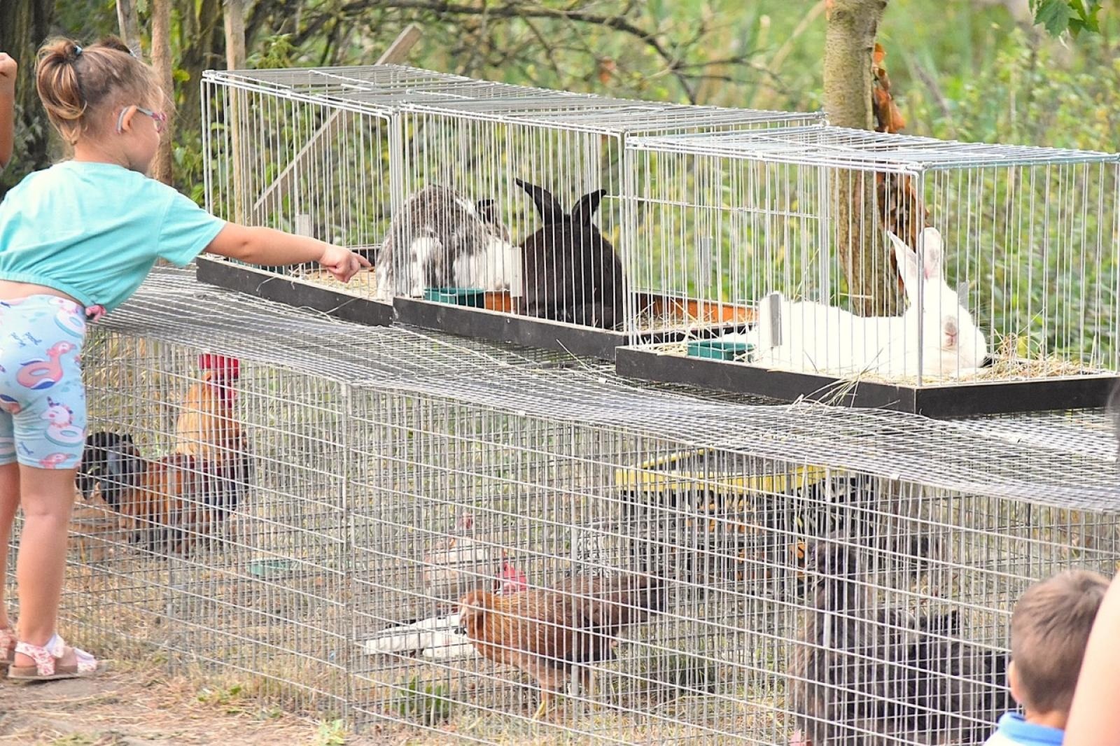 Zdjęcie w galerii na portalu naszwodzislaw.com: Godów pięknie podziękował za tegoroczne plony wiadomości z regionu