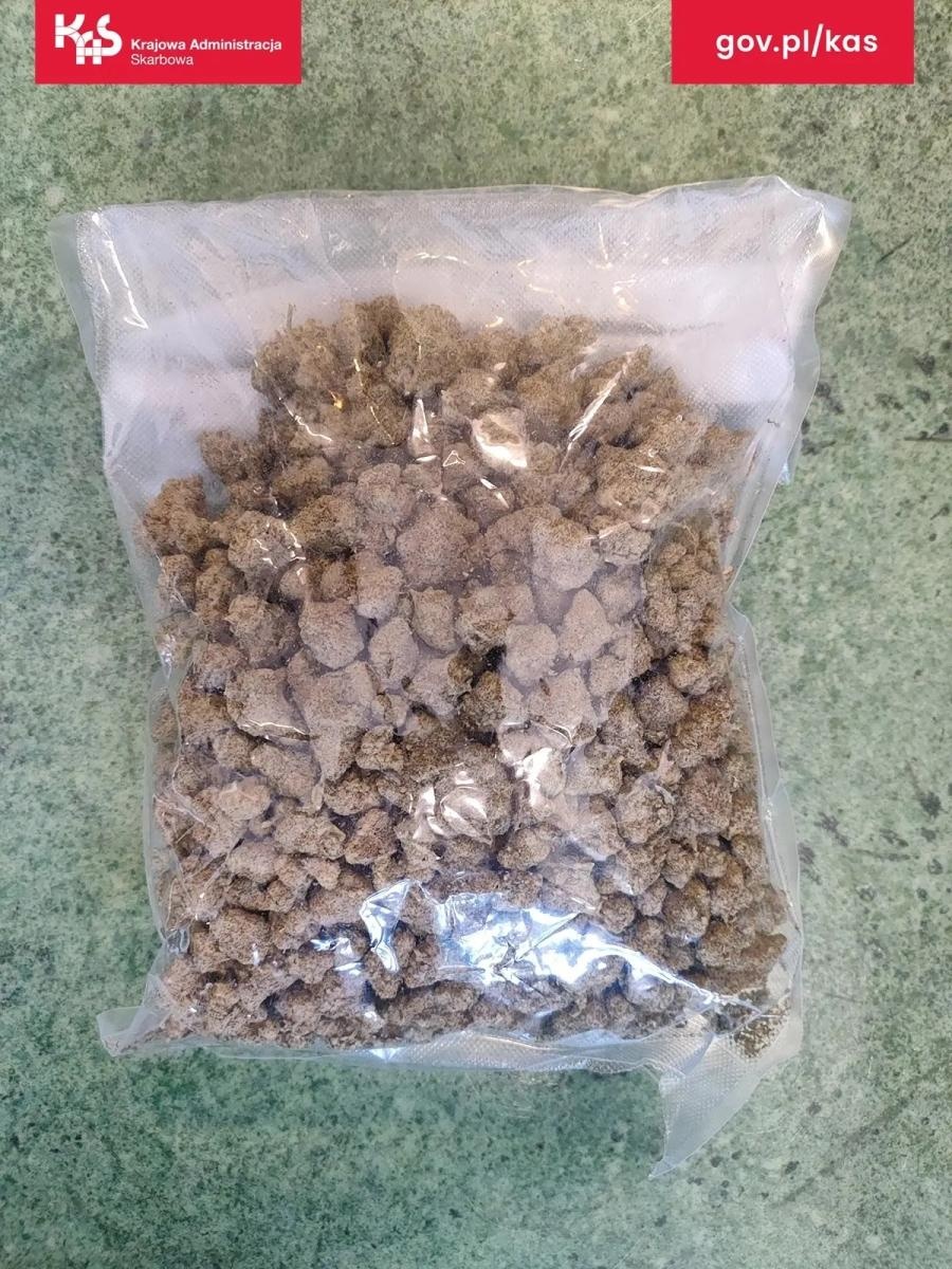 Zdjęcie w galerii na portalu naszwodzislaw.com: Pies Kodi złapał trop. KAS wykryła środki odurzające w przesyłce i mieszkaniu wiadomości z regionu