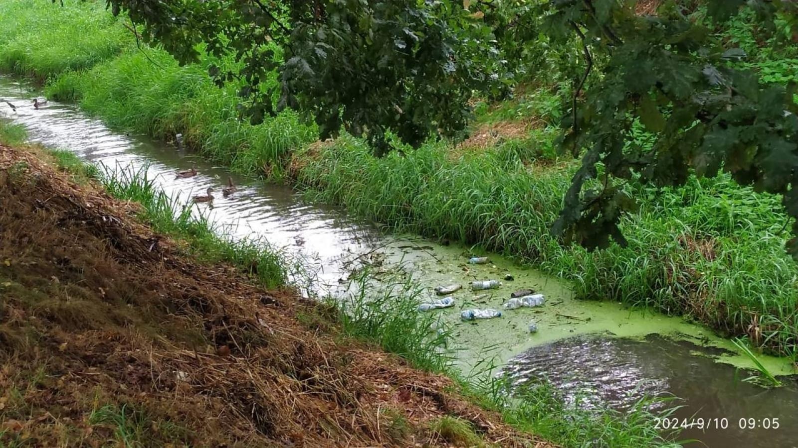 Zdjęcie w galerii na portalu naszwodzislaw.com: Czysta Leśnica. Nowa inicjatywa ekologiczna w Wodzisławiu Śląskim [FOTO] wiadomości z regionu