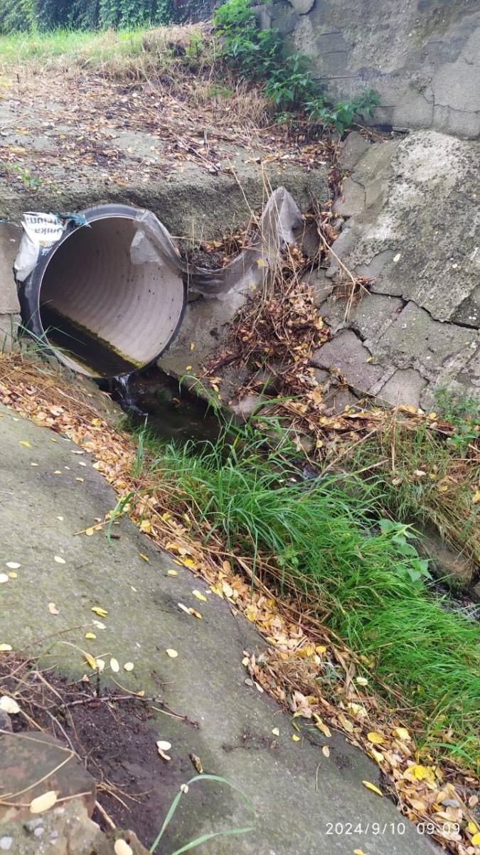 Zdjęcie w galerii na portalu naszwodzislaw.com: Czysta Leśnica. Nowa inicjatywa ekologiczna w Wodzisławiu Śląskim [FOTO] wiadomości z regionu