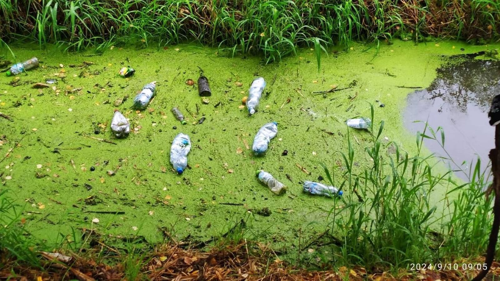 Zdjęcie w galerii na portalu naszwodzislaw.com: Czysta Leśnica. Nowa inicjatywa ekologiczna w Wodzisławiu Śląskim [FOTO] wiadomości z regionu