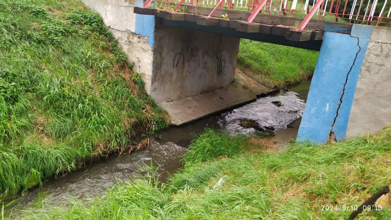 Zdjęcie w galerii na portalu naszwodzislaw.com: Czysta Leśnica. Nowa inicjatywa ekologiczna w Wodzisławiu Śląskim [FOTO] wiadomości z regionu