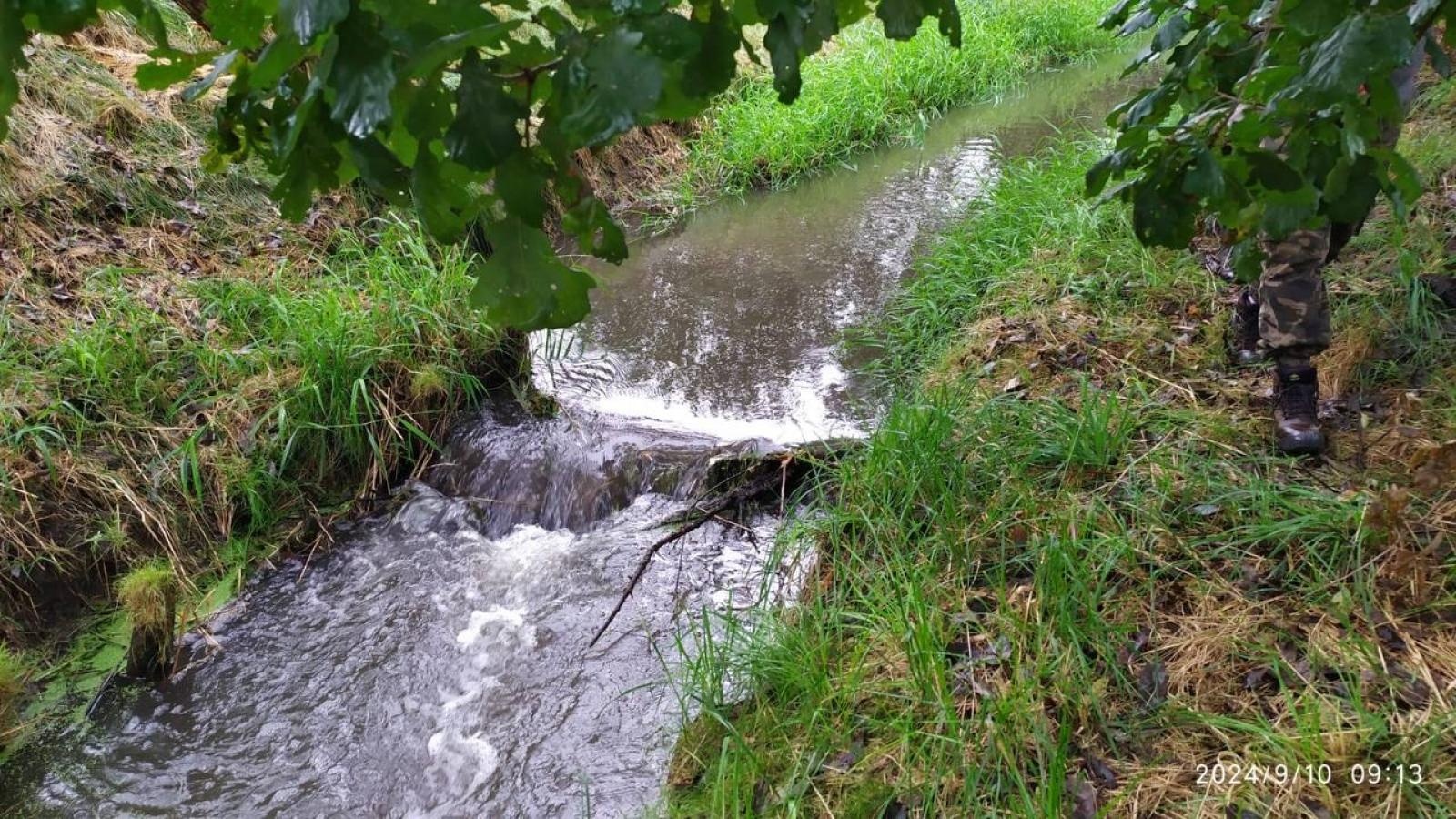 Zdjęcie w galerii na portalu naszwodzislaw.com: Czysta Leśnica. Nowa inicjatywa ekologiczna w Wodzisławiu Śląskim [FOTO] wiadomości z regionu