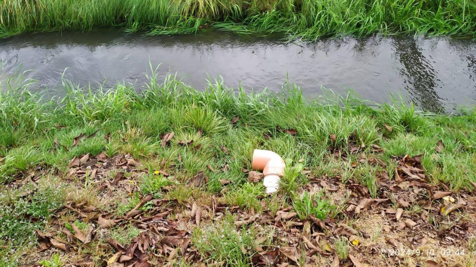 Zdjęcie w galerii na portalu naszwodzislaw.com: Czysta Leśnica. Nowa inicjatywa ekologiczna w Wodzisławiu Śląskim [FOTO] wiadomości z regionu