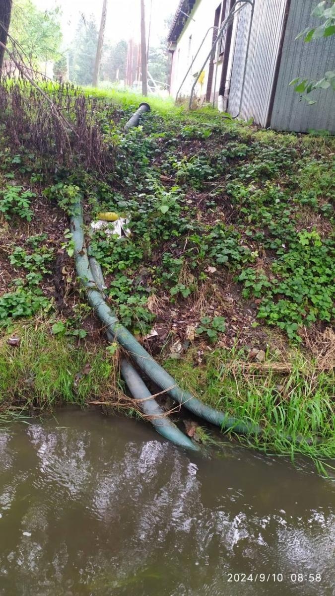 Zdjęcie w galerii na portalu naszwodzislaw.com: Czysta Leśnica. Nowa inicjatywa ekologiczna w Wodzisławiu Śląskim [FOTO] wiadomości z regionu