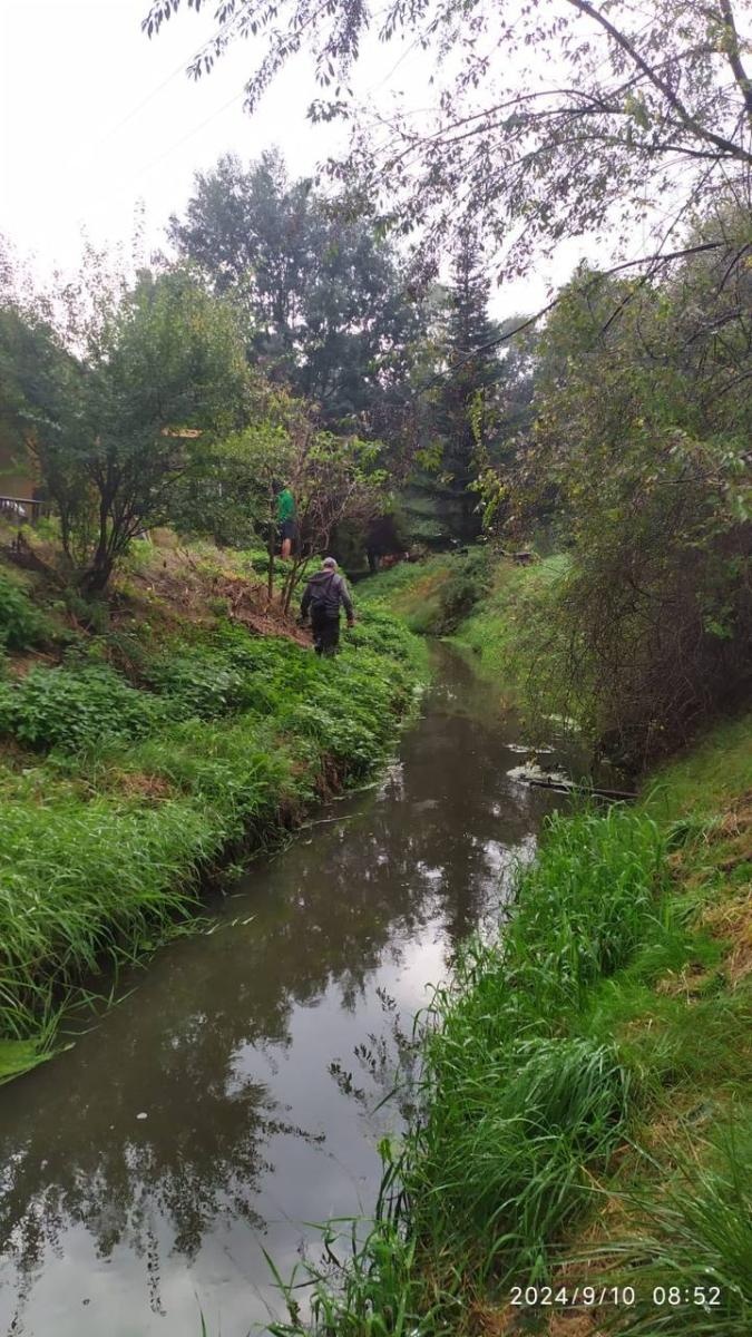 Zdjęcie w galerii na portalu naszwodzislaw.com: Czysta Leśnica. Nowa inicjatywa ekologiczna w Wodzisławiu Śląskim [FOTO] wiadomości z regionu