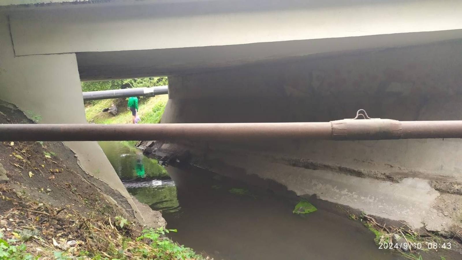 Zdjęcie w galerii na portalu naszwodzislaw.com: Czysta Leśnica. Nowa inicjatywa ekologiczna w Wodzisławiu Śląskim [FOTO] wiadomości z regionu