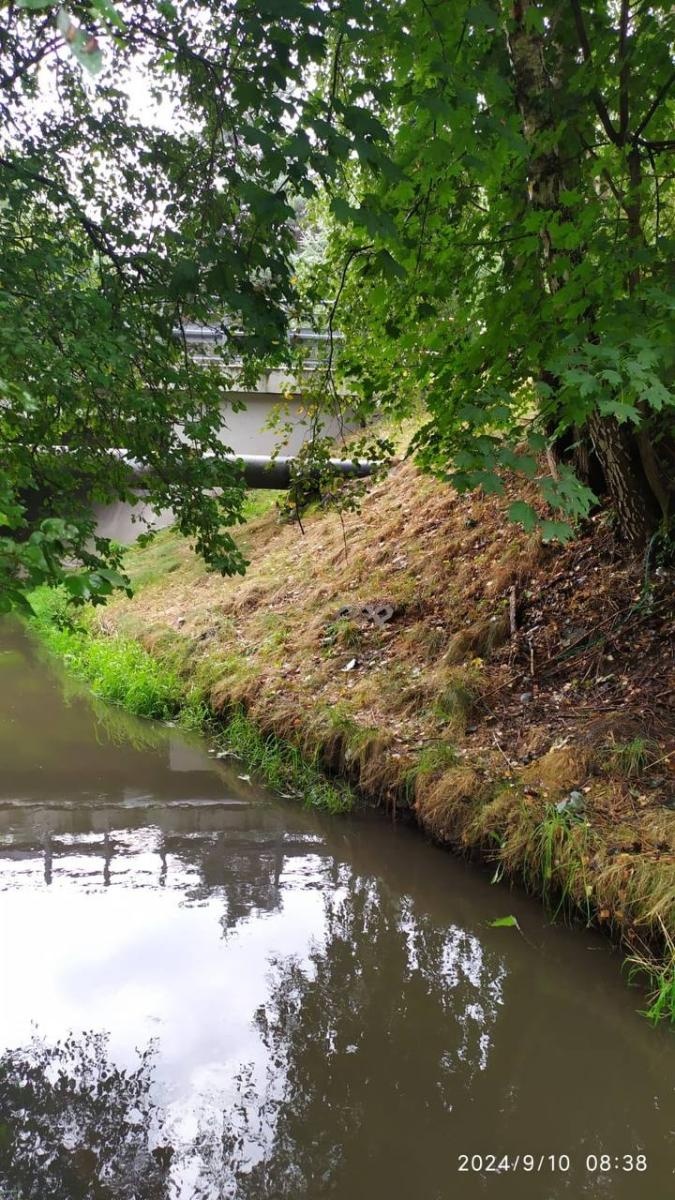 Zdjęcie w galerii na portalu naszwodzislaw.com: Czysta Leśnica. Nowa inicjatywa ekologiczna w Wodzisławiu Śląskim [FOTO] wiadomości z regionu