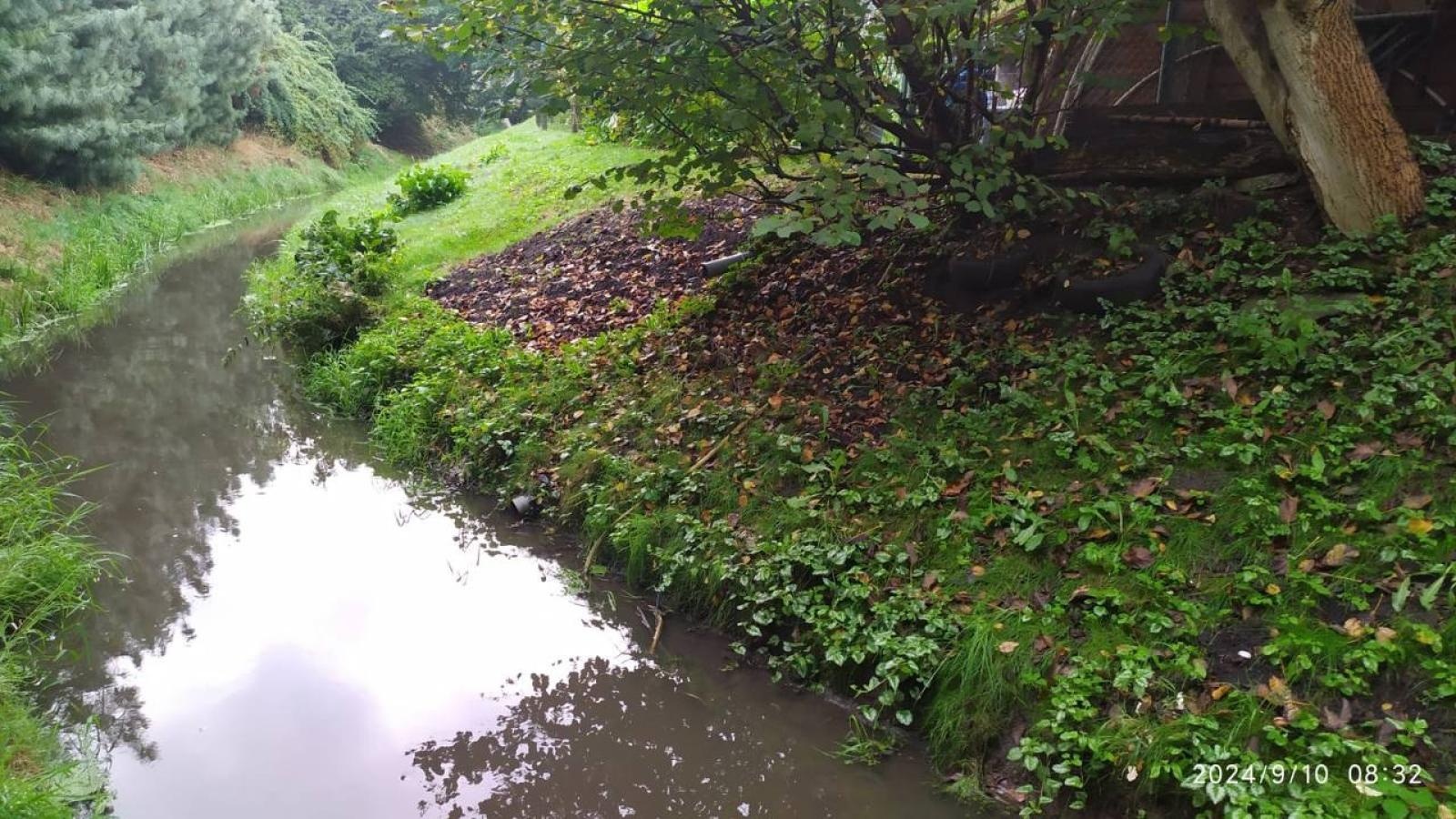 Zdjęcie w galerii na portalu naszwodzislaw.com: Czysta Leśnica. Nowa inicjatywa ekologiczna w Wodzisławiu Śląskim [FOTO] wiadomości z regionu