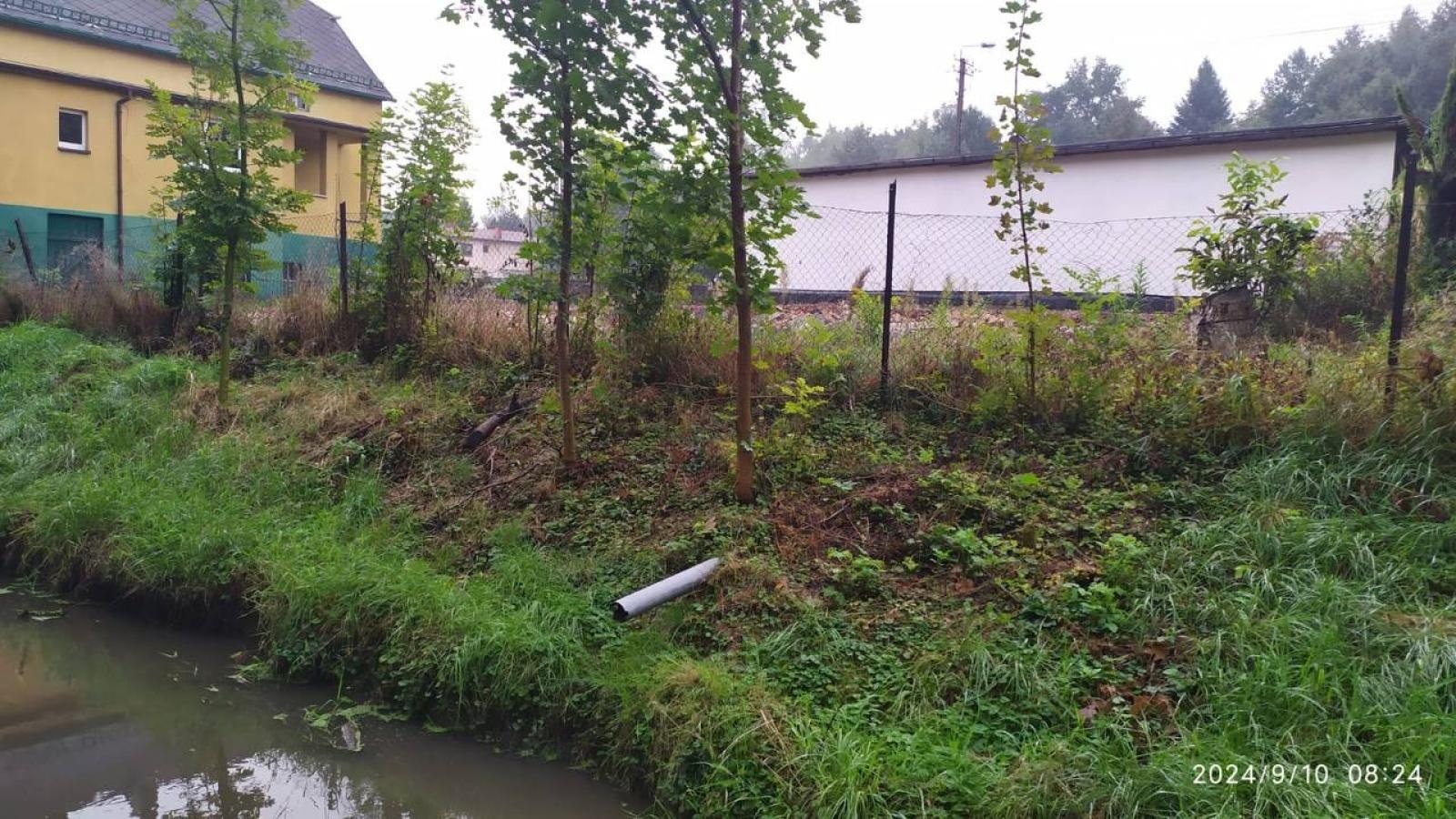 Zdjęcie w galerii na portalu naszwodzislaw.com: Czysta Leśnica. Nowa inicjatywa ekologiczna w Wodzisławiu Śląskim [FOTO] wiadomości z regionu