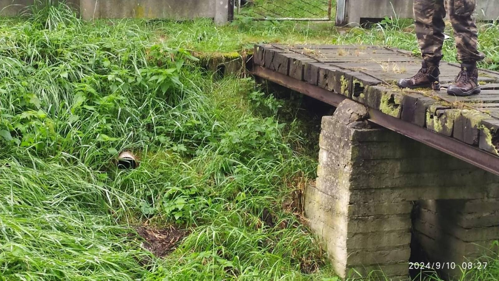 Zdjęcie w galerii na portalu naszwodzislaw.com: Czysta Leśnica. Nowa inicjatywa ekologiczna w Wodzisławiu Śląskim [FOTO] wiadomości z regionu