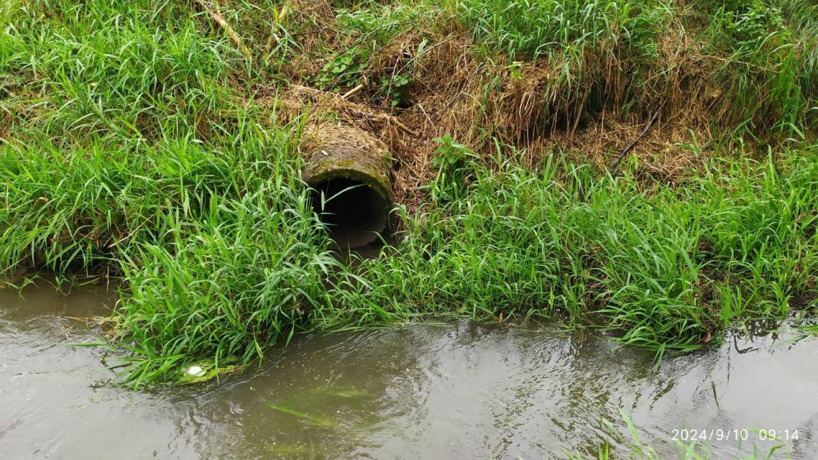 Zdjęcie w galerii na portalu naszwodzislaw.com: Czysta Leśnica. Nowa inicjatywa ekologiczna w Wodzisławiu Śląskim [FOTO] wiadomości z regionu