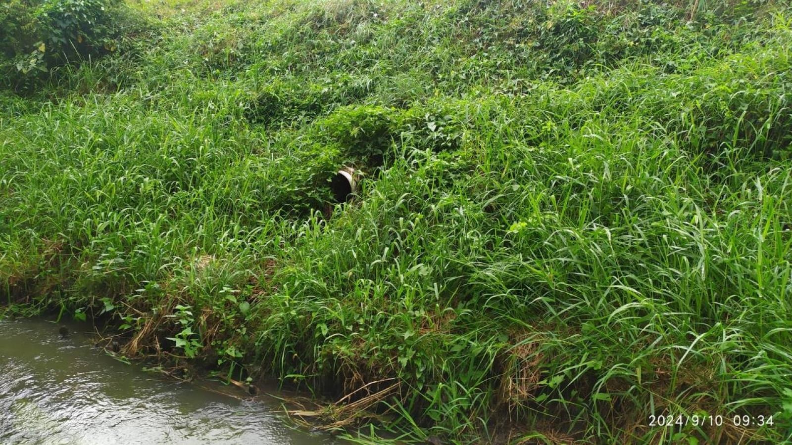 Zdjęcie w galerii na portalu naszwodzislaw.com: Czysta Leśnica. Nowa inicjatywa ekologiczna w Wodzisławiu Śląskim [FOTO] wiadomości z regionu
