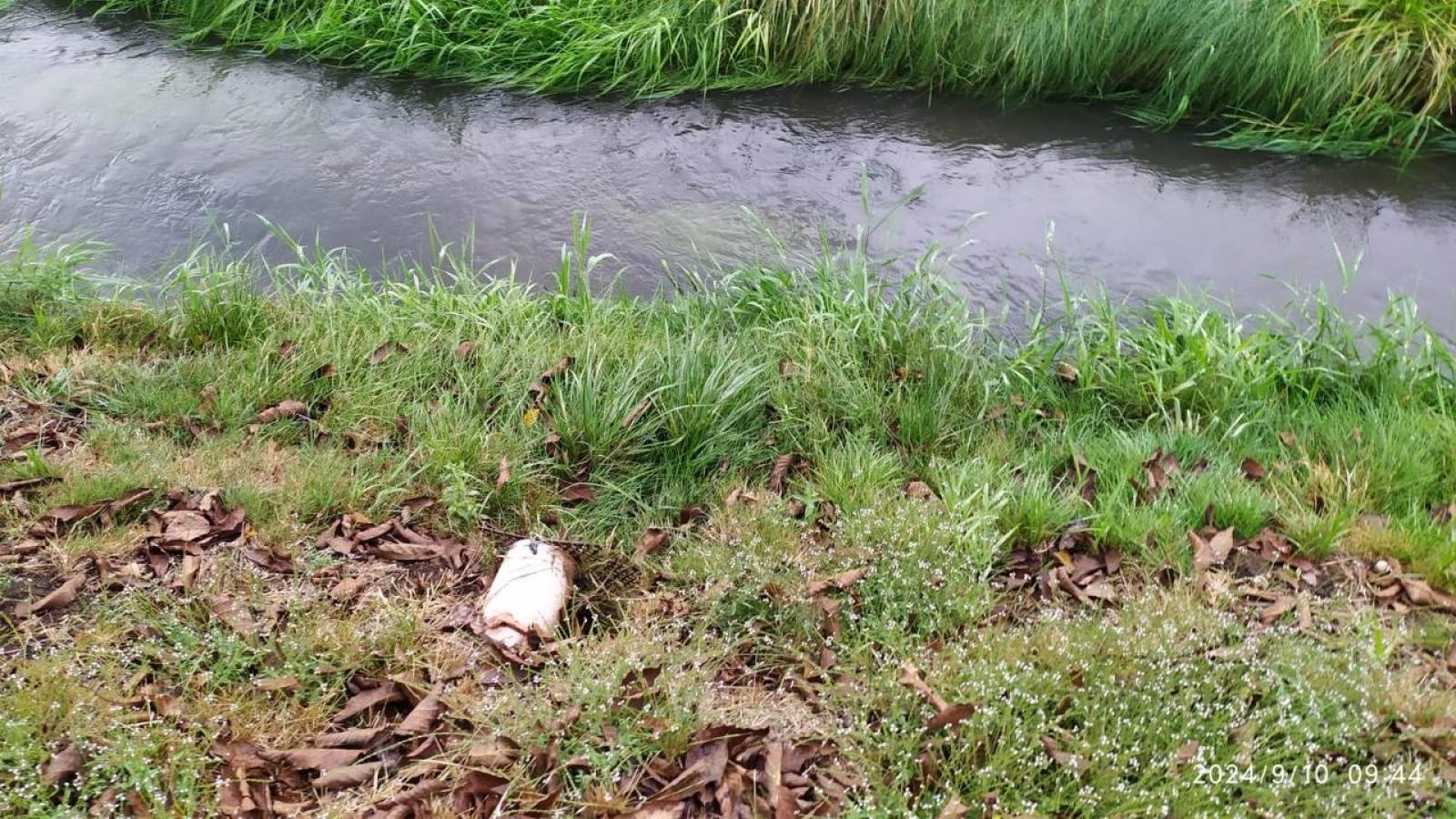 Zdjęcie w galerii na portalu naszwodzislaw.com: Czysta Leśnica. Nowa inicjatywa ekologiczna w Wodzisławiu Śląskim [FOTO] wiadomości z regionu