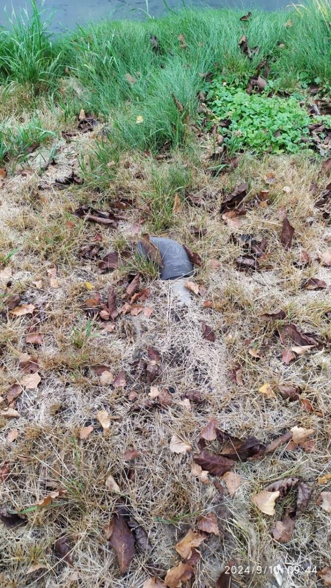 Zdjęcie w galerii na portalu naszwodzislaw.com: Czysta Leśnica. Nowa inicjatywa ekologiczna w Wodzisławiu Śląskim [FOTO] wiadomości z regionu