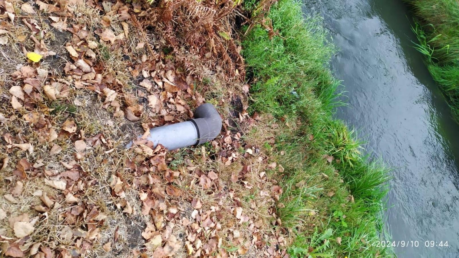 Zdjęcie w galerii na portalu naszwodzislaw.com: Czysta Leśnica. Nowa inicjatywa ekologiczna w Wodzisławiu Śląskim [FOTO] wiadomości z regionu