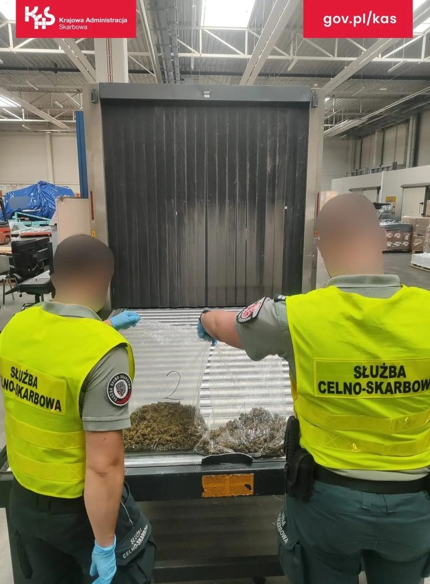 Zdjęcie w galerii na portalu naszwodzislaw.com: Marihuana w przesyłce z USA. KAS zabezpieczyła ponad pół kilograma narkotyku wiadomości z regionu