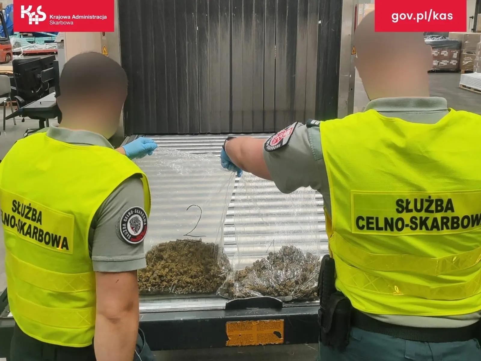 Zdjęcie w galerii na portalu naszwodzislaw.com: Marihuana w przesyłce z USA. KAS zabezpieczyła ponad pół kilograma narkotyku wiadomości z regionu