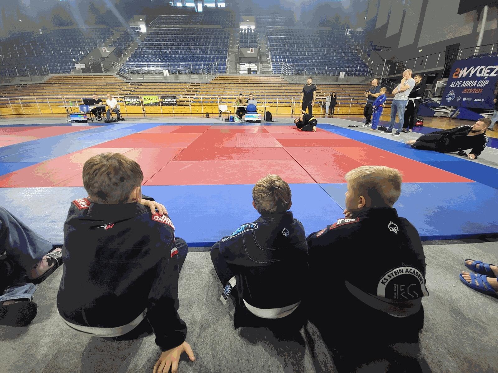 Zdjęcie w galerii na portalu naszwodzislaw.com: Kolejne medale zawodników KS Stein Academy wiadomości z regionu