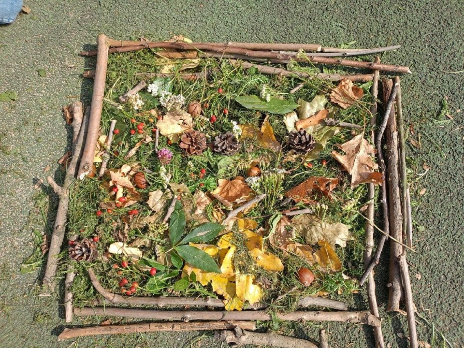 Zdjęcie w galerii na portalu naszwodzislaw.com: Zintegrowani w przyrodzie. Projekt w SP 4 w Rydułtowach wiadomości z regionu