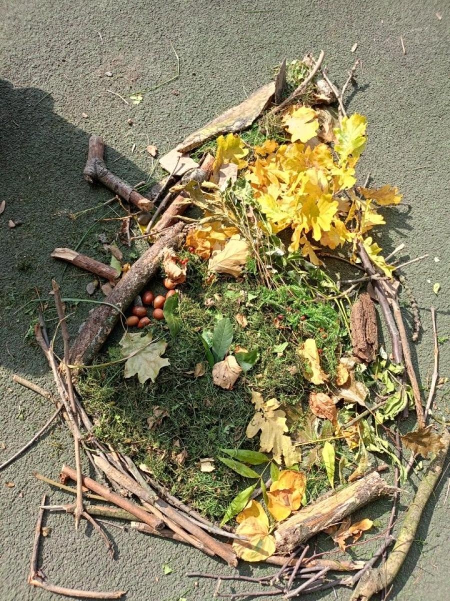 Zdjęcie w galerii na portalu naszwodzislaw.com: Zintegrowani w przyrodzie. Projekt w SP 4 w Rydułtowach wiadomości z regionu