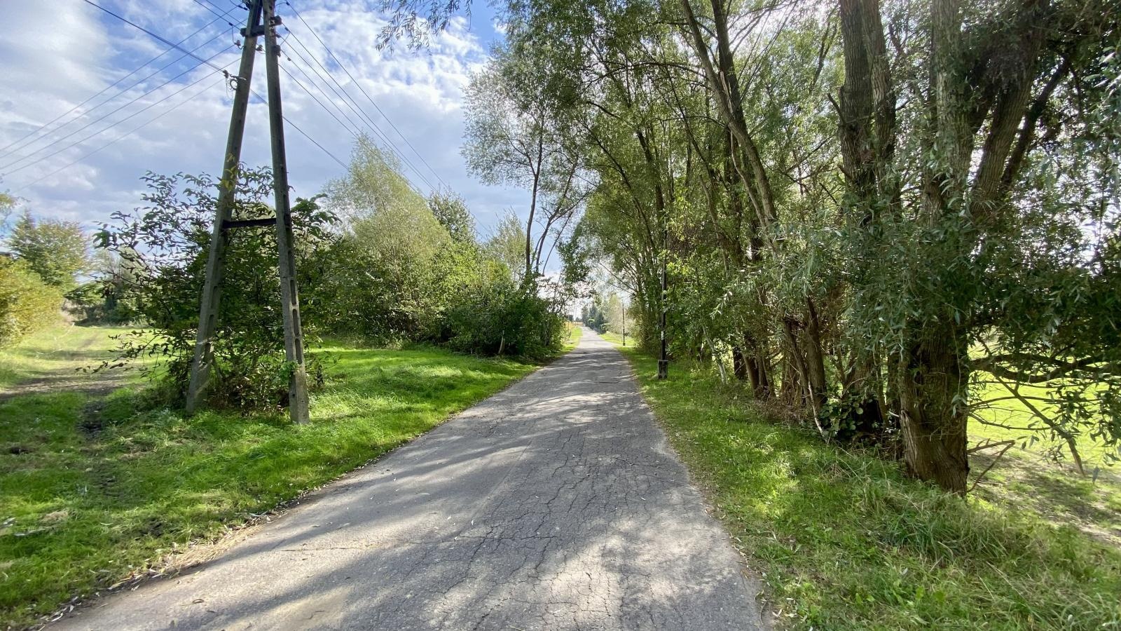 Zdjęcie w galerii na portalu naszwodzislaw.com: Śląska w Pszowie do przebudowy wiadomości z regionu