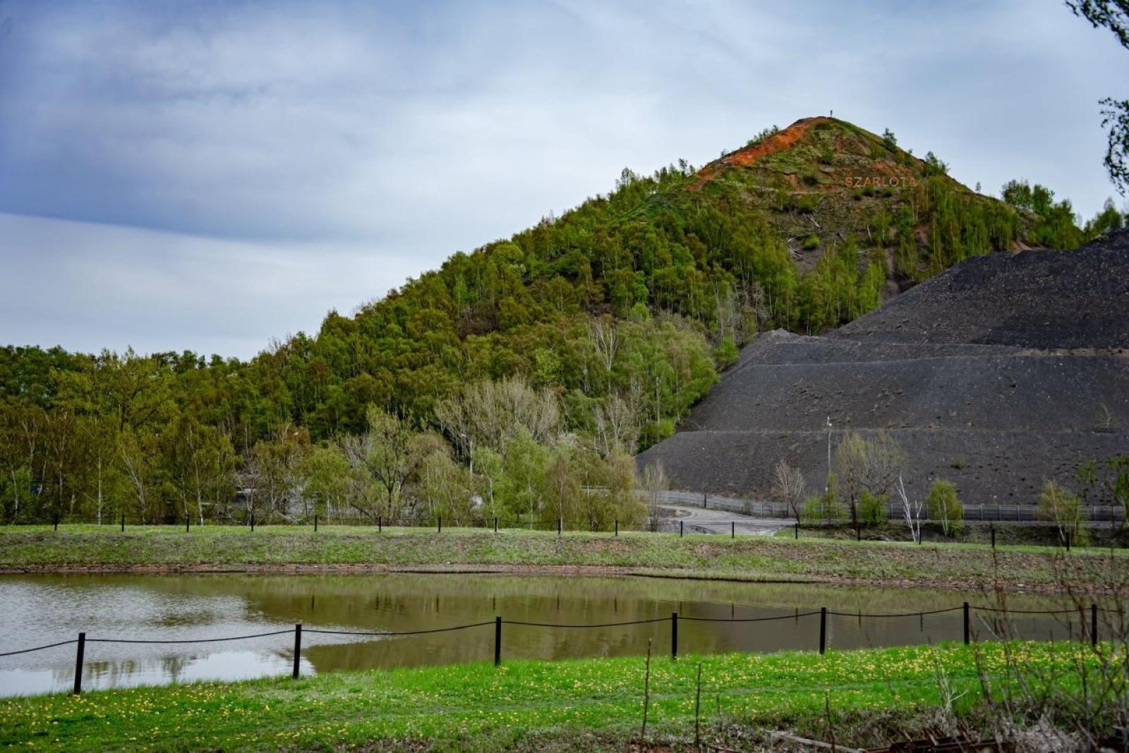 Zdjęcie w galerii na portalu naszwodzislaw.com: Podróżuj z Ignacym: Rydułtowy i Szyb Leon III wiadomości z regionu
