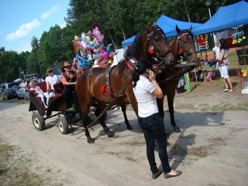 Zdjęcie w galerii na portalu naszwodzislaw.com: Karczma piwna w czerwcu! wiadomości z regionu