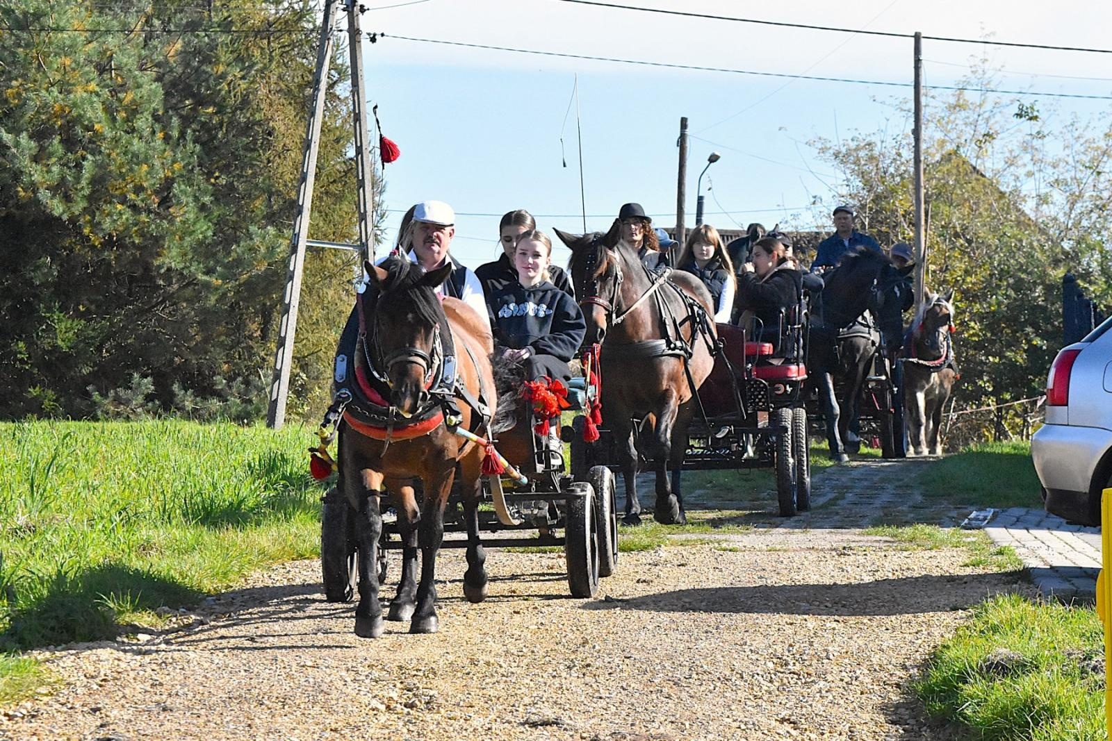 Zdjęcie w galerii na portalu naszwodzislaw.com: Hubertus w Krostoszowicach przyciągnął wielu jeźdźców i widzów. Martyna i Karolina dopadły lisiej kity [FOTO] wiadomości z regionu