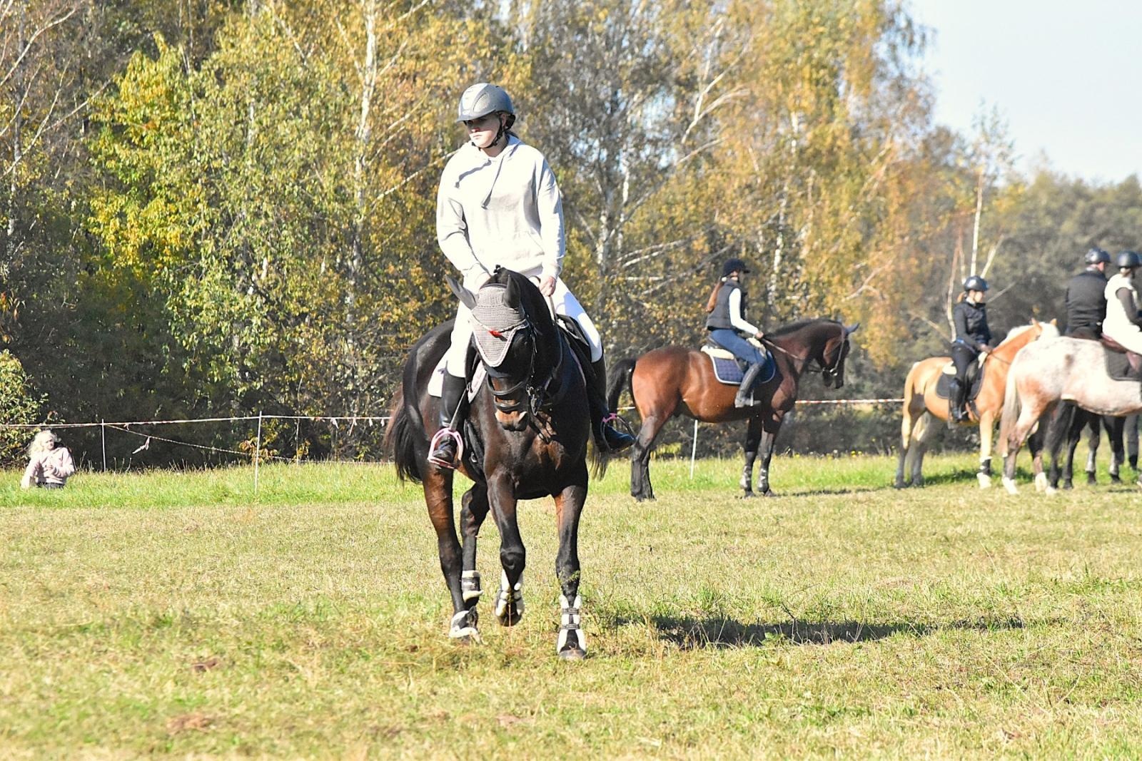 Zdjęcie w galerii na portalu naszwodzislaw.com: Hubertus w Krostoszowicach przyciągnął wielu jeźdźców i widzów. Martyna i Karolina dopadły lisiej kity [FOTO] wiadomości z regionu
